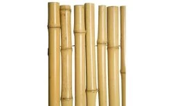 Sichtschutz 170x120 Cm Bambus -Einrichtungsgeschaft 625901080201 295 P 637072341071521114