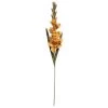Gladiole 97 Cm Dunkelgelb Kunststoff -Einrichtungsgeschaft 783111400208 1576 P 637411897194736594