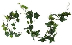 Girlande Ivy 150 Cm Kunststoff -Einrichtungsgeschaft 783111990301 1442 P 637701329065327245