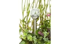 Einrichtungsgeschaft -Einrichtungsgeschaft 913501890103 25 P 637050309814715641