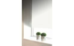 Einrichtungsgeschaft 22 Rollo Blackout 100x185 Cm Weiß